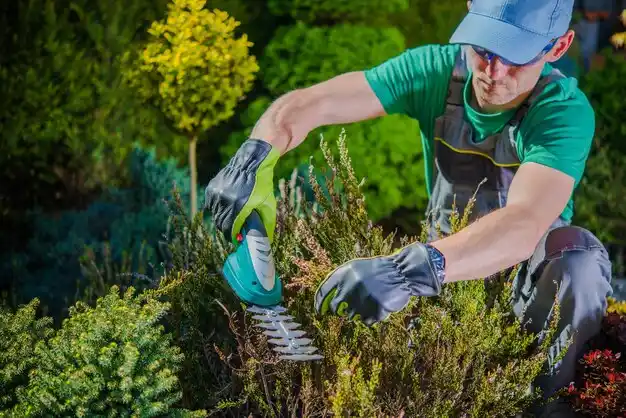 landscaping services Ionia